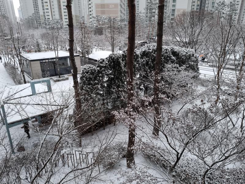 우리집앞! 창문 풍경이야