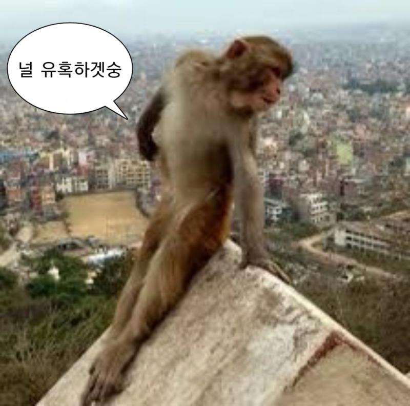 >>74 맘에 드숭?? 이제 레숭주도 숭며드는 숭