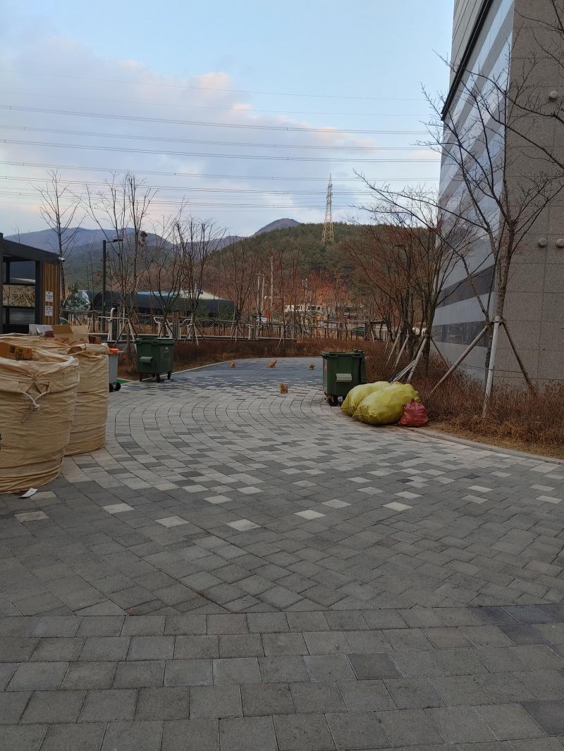 아니 근데 문제는 우리 아파트에 개 키우는 사람 엄청 많거든? 또 어린 아이들도 엄청 많은데 그중에는 고양이 싫어하는 사람도 있을 거 아냐, 귀