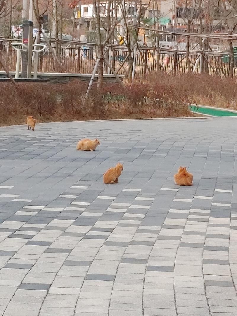 내가 확대해서 찍은거긴한데 보면 엄청작음