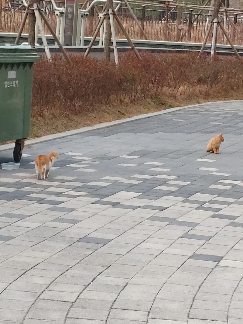 내가 확대해서 찍은거긴한데 보면 엄청작음