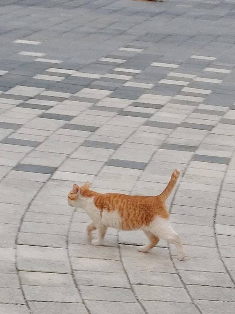 내가 확대해서 찍은거긴한데 보면 엄청작음