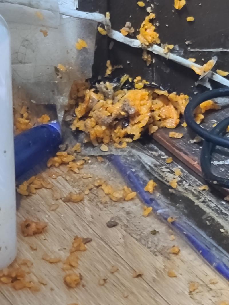 조졌다