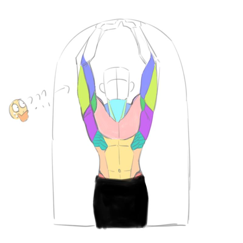뭔가를 하기는 했는데... 근육 공부라곤 조금 깔짝거린 게 전부면서 귀찮다고 다른 근육 자료 같은 거 참고 안 하고 걍 어두침침한 인물 사진만