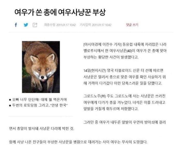여우가 쏜 총에