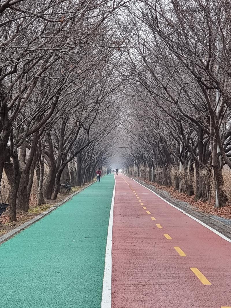 뺨