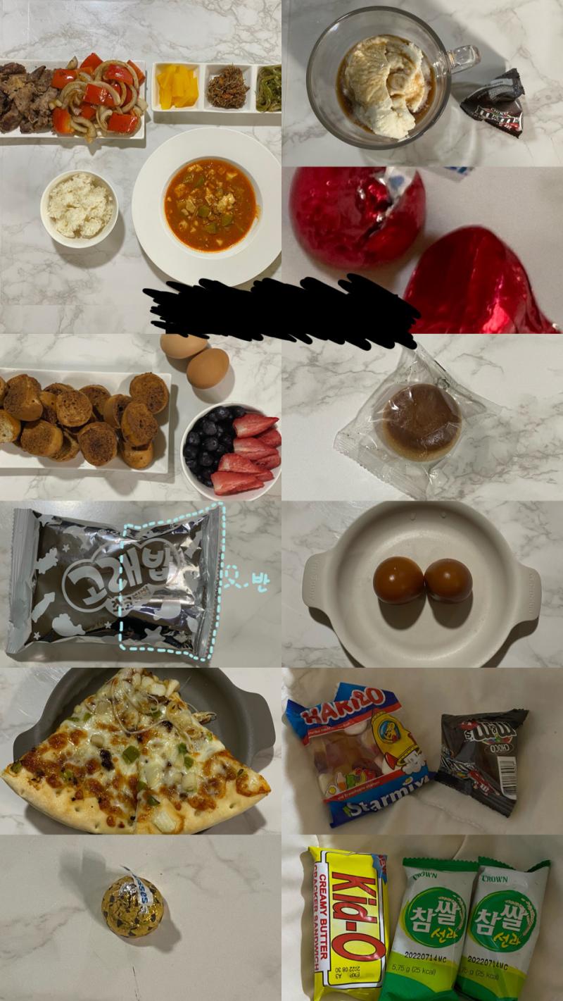 이게 하루동안 먹은 음식이야