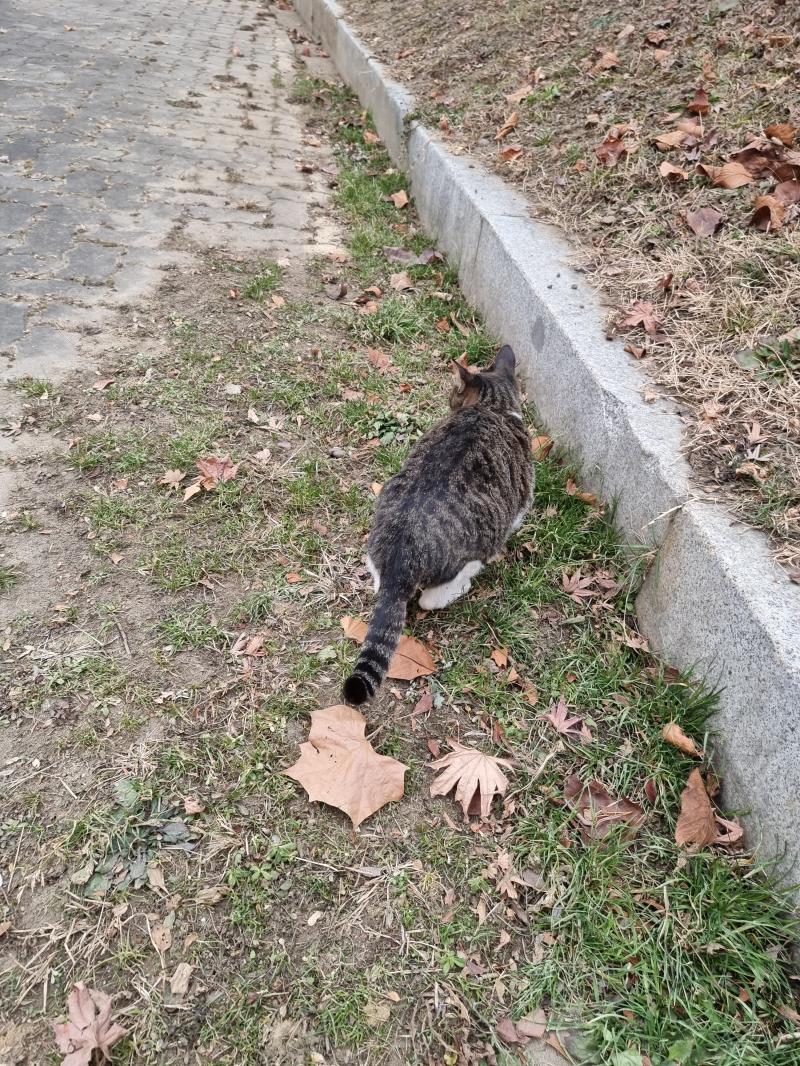 설이 디른 사진 얘기 좀 정신 없어서 ㅋㅋㄴ 정면사진이 없어 ㅋㅋㅋㅋ