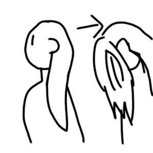 머리 숙이면 이렇게됨 바닥에 뭐 있는거 못줍겠어 매번 머리 묶을수도 없고