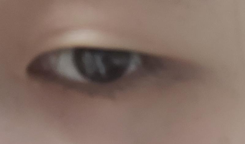 눈은 대충 이래..