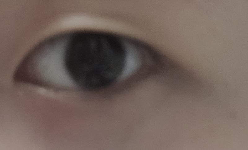 눈은 대충 이래..