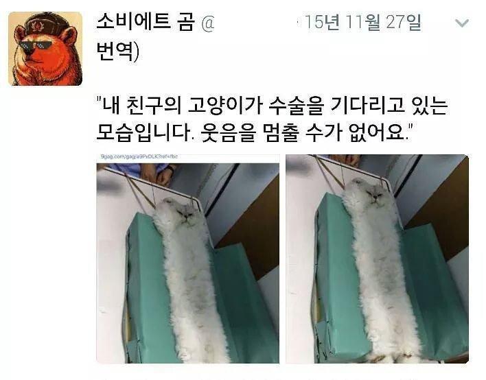 발든프로이데... 샤덴프로이데에서 유래...
