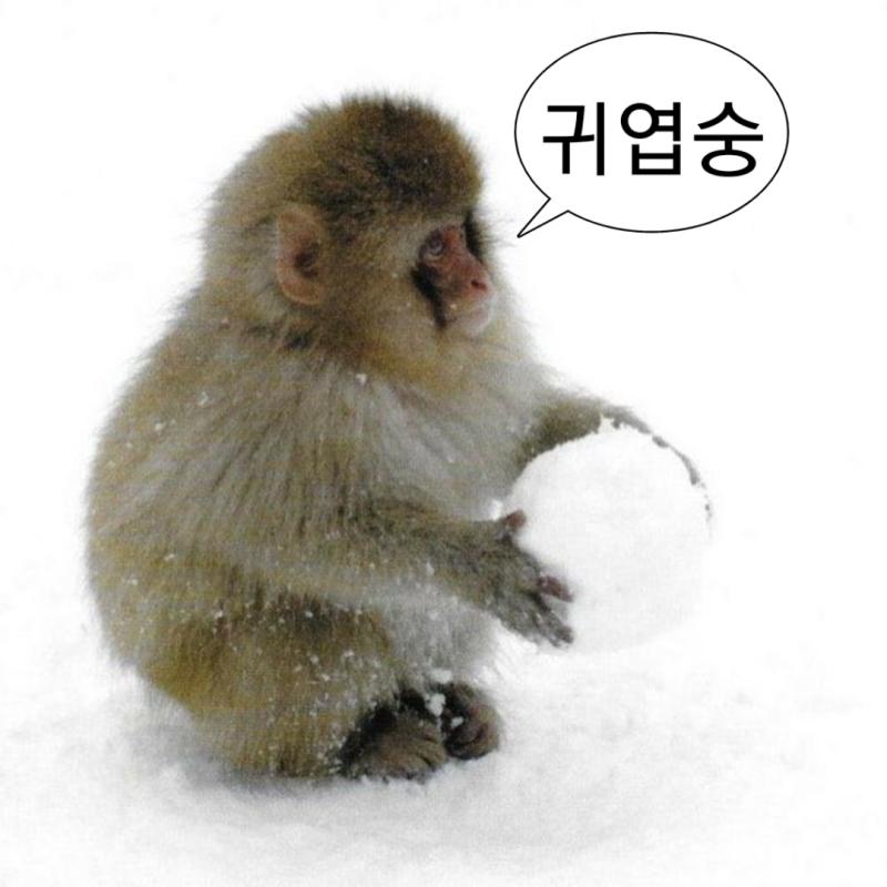 >>90 숭이 귀엽숭...왜 다들 안 믿숭.....