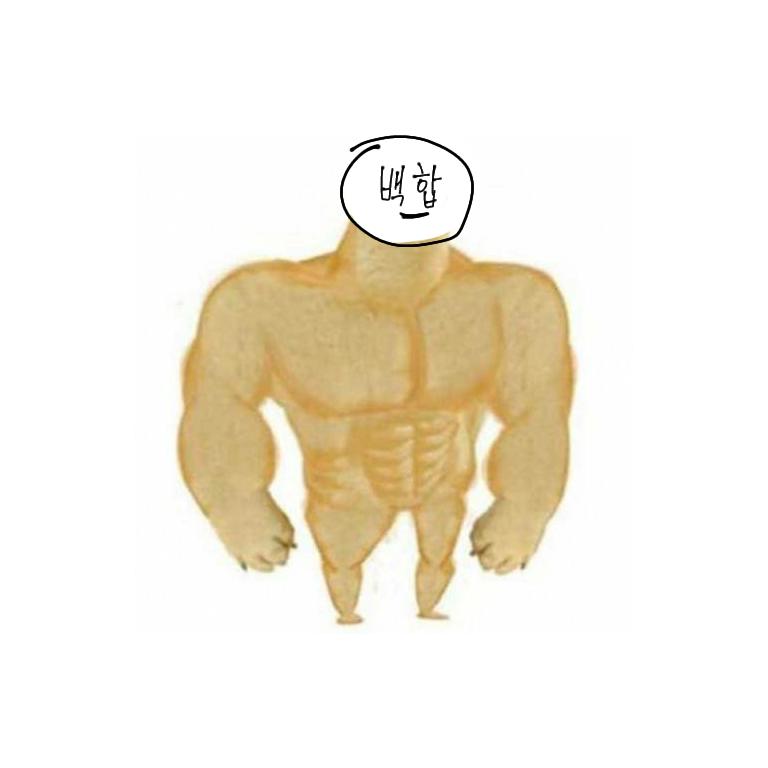 그렇다. 나는 그 아이의 가슴(근육)을 사랑한다. 평생동안 그 아이에게 프로틴을 바치고 싶다. 그런데 어느날 내공을 키우기 위해 수련을 하다 잠