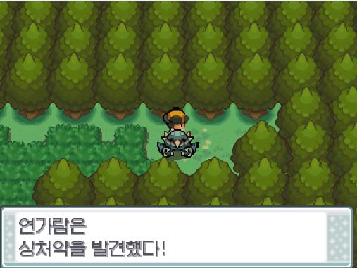 연두마을에서 서쪽으로 나오자 29번 도로가 나왔다. 29번 도로을 통해 서쪽으로 가면 무궁시티가 나온다. 연가람은 29번 도로에서 상처약을 주웠