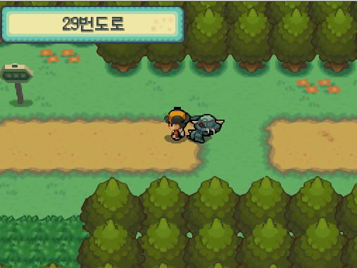 연두마을에서 서쪽으로 나오자 29번 도로가 나왔다. 29번 도로을 통해 서쪽으로 가면 무궁시티가 나온다. 연가람은 29번 도로에서 상처약을 주웠