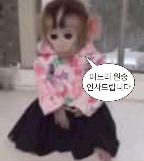 며느리 인사드립니다숭