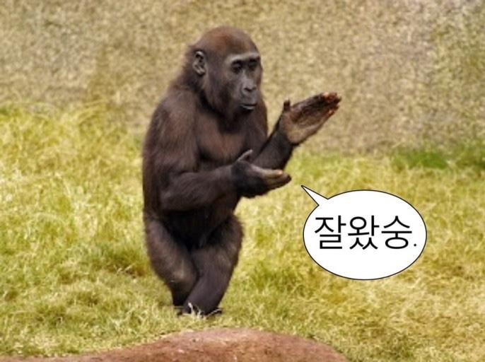>>96 숭월드에 잘 왓숭