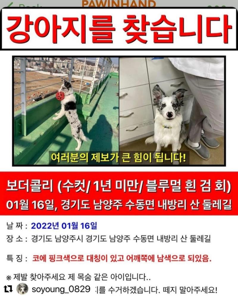 빨리 찾았으면 좋겠다