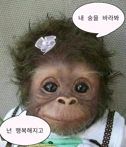 >>97 반갑숭!!