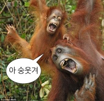 >>100 >>101 ㅋㅋㅋㅋㅋㅋㅋㅋㅋㅋㅋ
