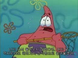 뚱이