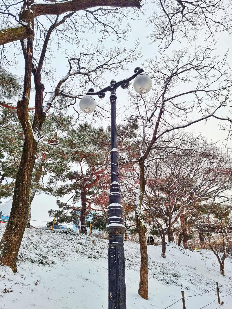 눈 과 가로등