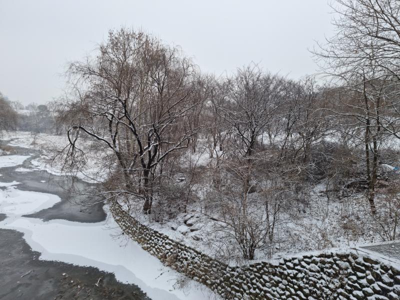다리 위