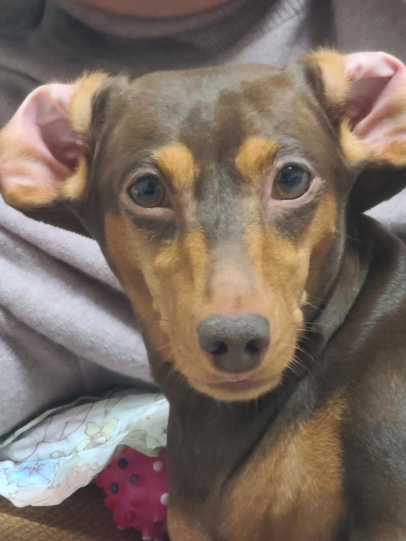 ㄹㅇ?