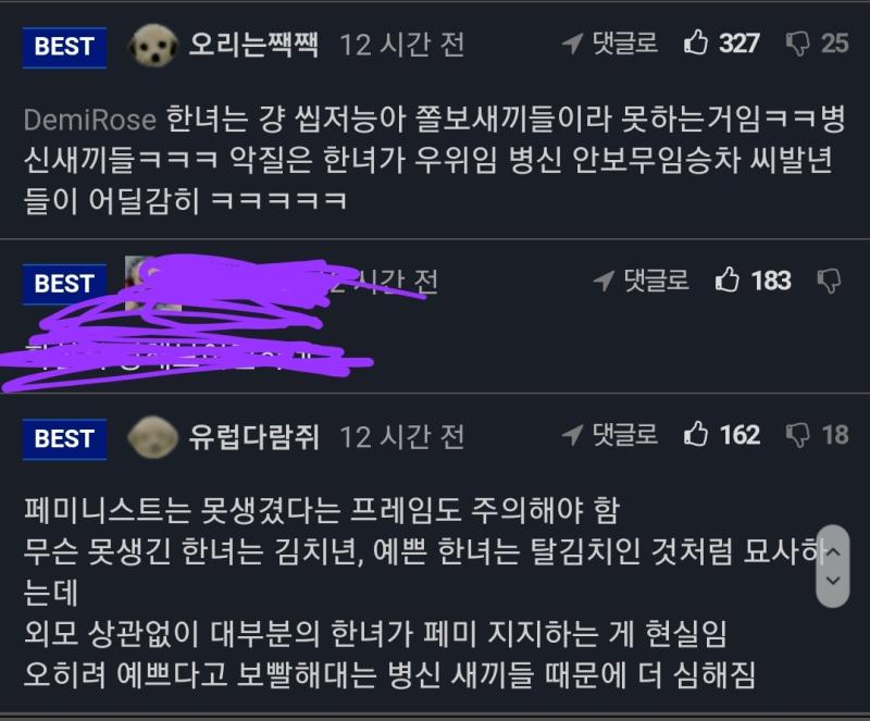 오늘따라 이런글 많이 보이던데 이런애들은 남혐/페미 왜 욕하는거지?