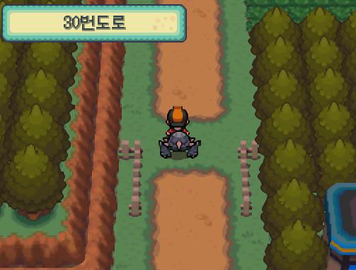무궁시티에서 만난 할아버지에게 이것 저것 배우고, 여러 선물을 받은 연가람은 30번 도로로 향했습니다. 그런데 지금은 포켓몬 포획이 불가능합니다