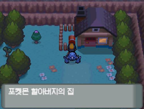 그리고 연가람은 드디어 포켓몬 할아버지의 집에 도착했다. 포켓몬 할아버지의 집 옆에 규토리 나무가 있길래 담홍규토리를 수확했다. 포켓몬 할아버지
