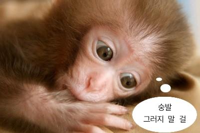 후회하는 숭을 만들어봤숭!