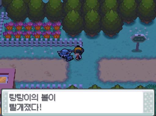 승부가 끝난 김에 탕탕이에게 말을 걸었다. 탕탕이의 볼이 빨개졌다!