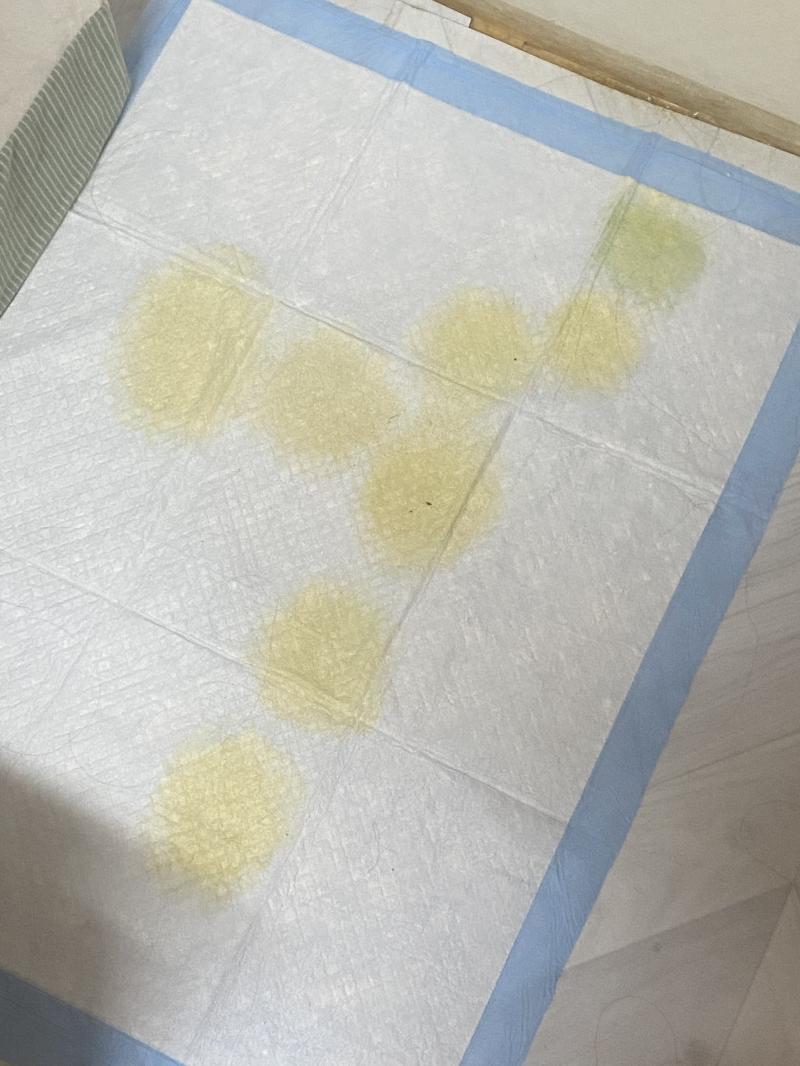 불만이 있으면 말로 해.......