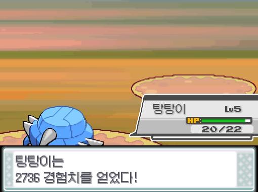 탕탕이의 미스트볼! 상대 애버라스는 쓰러졌다! 탕탕이는 2736 경험치를 얻었다!