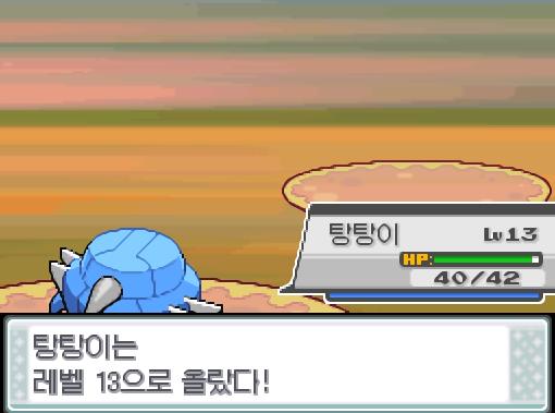 탕탕이는 레벨 13으로 올랐다!
