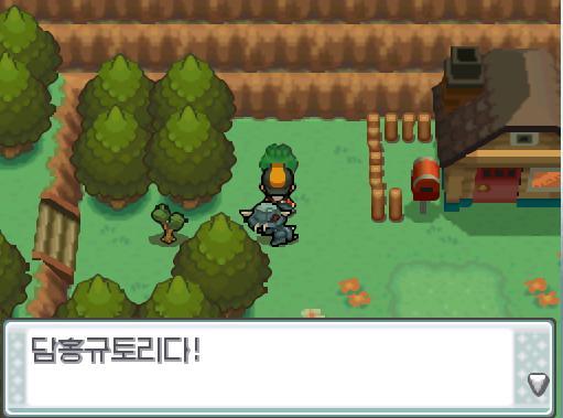 연가람은 포켓몬 할아버지 집에서 무궁시티로 오는 길에 규토리 나무에서 초록규토리와 담홍규토리를 또 손에 넣었다.