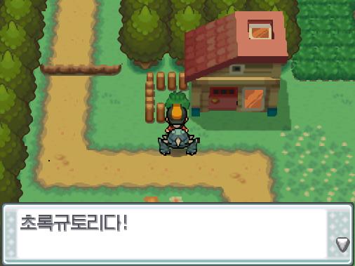 연가람은 포켓몬 할아버지 집에서 무궁시티로 오는 길에 규토리 나무에서 초록규토리와 담홍규토리를 또 손에 넣었다.