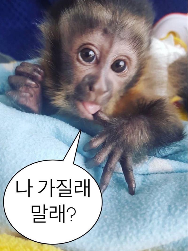 이거 어때 레중
