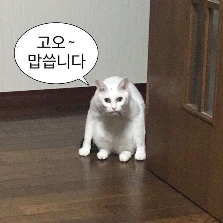 내가 계속 올릴 수 있도록 너네들의 관심이 필요해 그냥 이상한 말이라도 달아주라.... 제발....