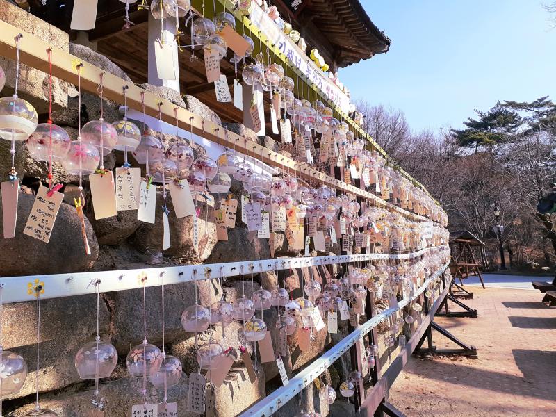 절에서 찍은 것들🎐 (사진 로딩 시간이 너무 길다ㅠㅠ)