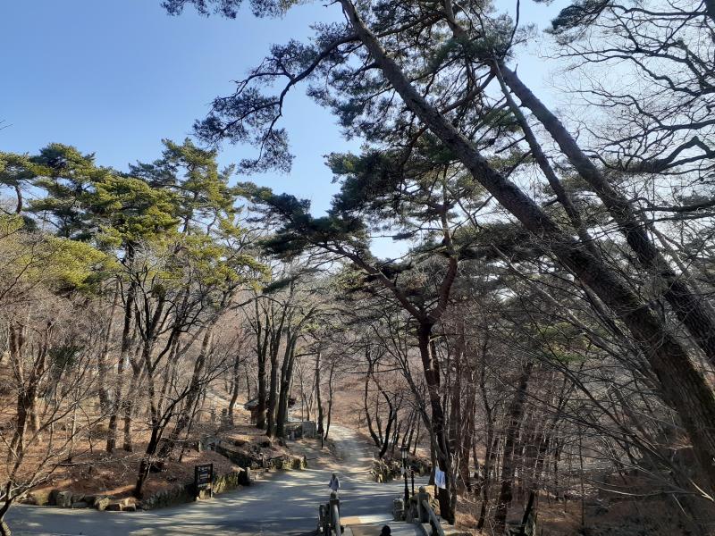 절에서 찍은 것들🎐 (사진 로딩 시간이 너무 길다ㅠㅠ)