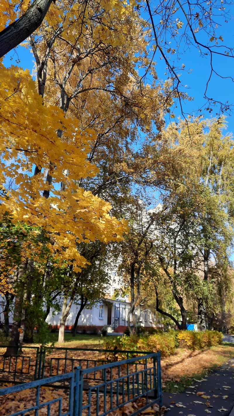 가을 날 (남의) 학교에서 산책했을 때🌿 (보정 x)