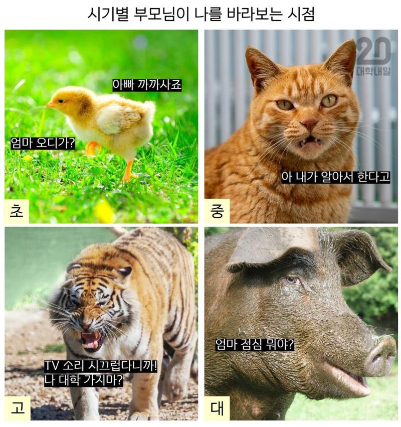 시기별 부모님이 나를 바라 보는 시점