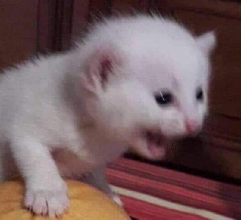 !!!