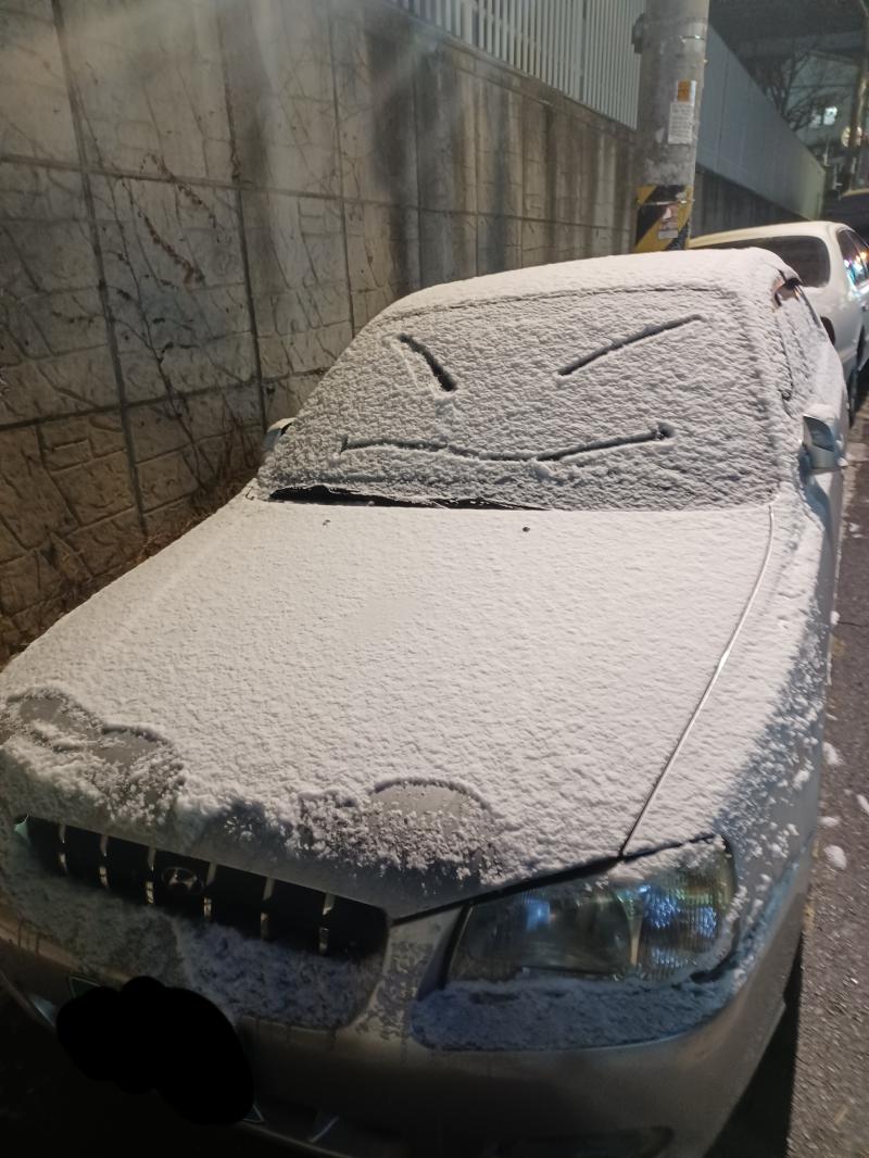 며칠 전 눈 왔을 때 찍은 거.