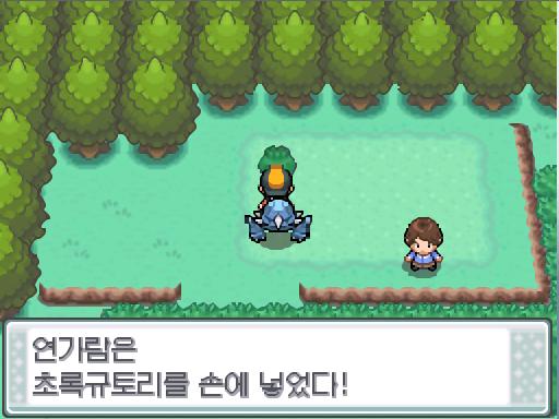 연가람은 29번 도로에서 초록 규토리를 획득했다.
