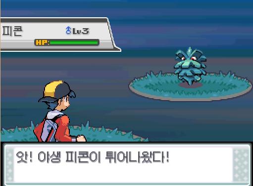 29번 도로의 포켓몬 조우 가능 횟수 최대 3회, 현재 1회 29번 도로의 포켓몬 포획 가능 횟수 최대 1회, 현재 0회 연가람은 29번 도로에