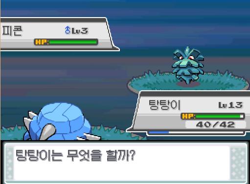 29번 도로의 포켓몬 조우 가능 횟수 최대 3회, 현재 1회 29번 도로의 포켓몬 포획 가능 횟수 최대 1회, 현재 0회 연가람은 29번 도로에